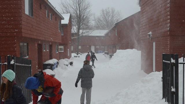 A Winter Survival Guide: ‘Corinsight’ On How To Thrive In 2015