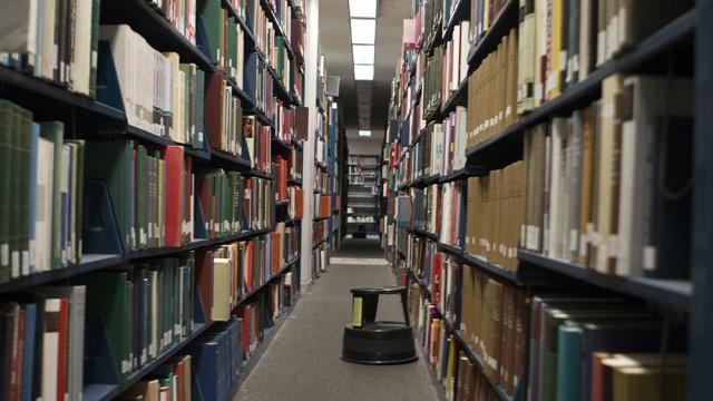 Falling In Love At The Library