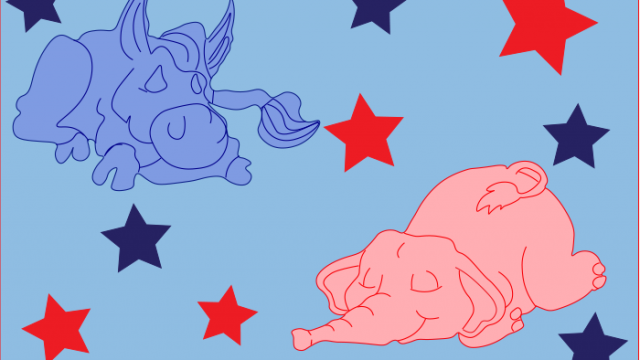 election
