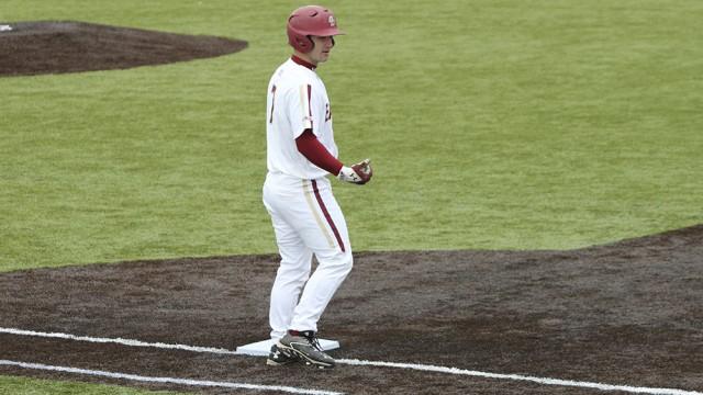 Birdball