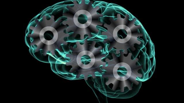 Why Mindfulness Matters