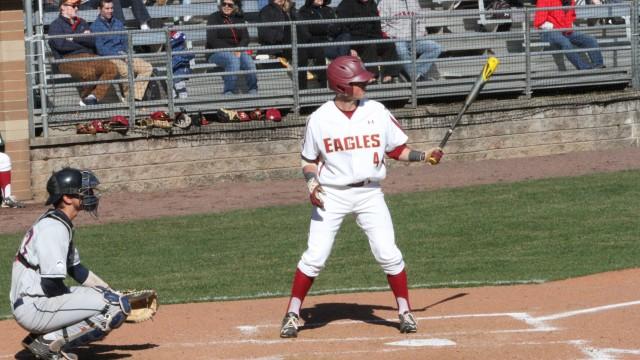 Birdball