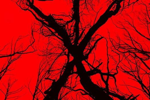 Soulless Sequel 'Blair Witch' Left Wandering in the Woods