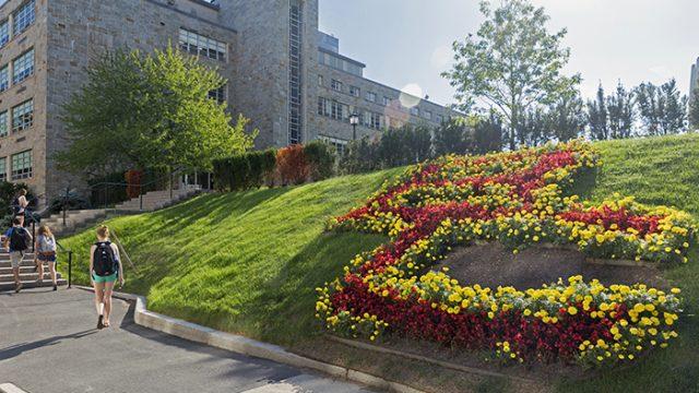 BC Landscaping