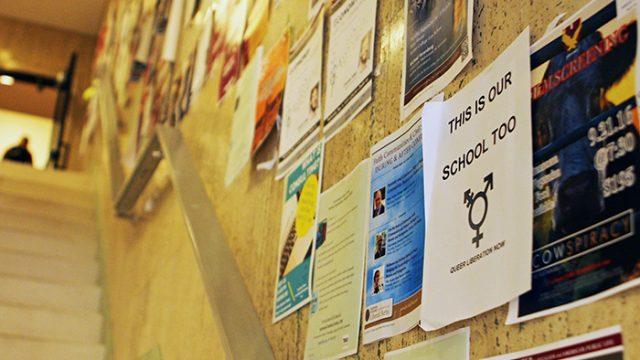 queer liberation posters