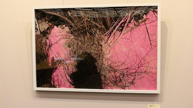 O'Neill Exhibit Uncovers the Shades of 'Pink' in Us All