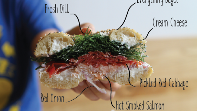 Cambridge's Bagelsaurus Has Saved the Boston Bagel From Extinction