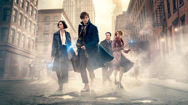 'Fantastic Beasts' Marvelously Treads into the Vastness of the Wizarding World