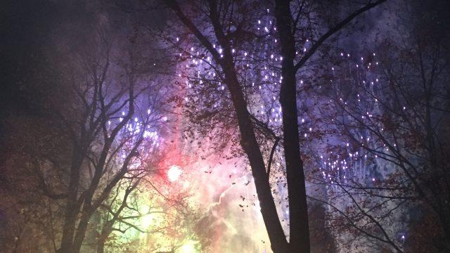 Shining a Light on a New Christmas Spirit