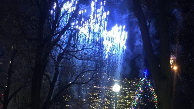 Thousands Welcome the Holiday Season at the Boston Common Tree Lighting Ceremony