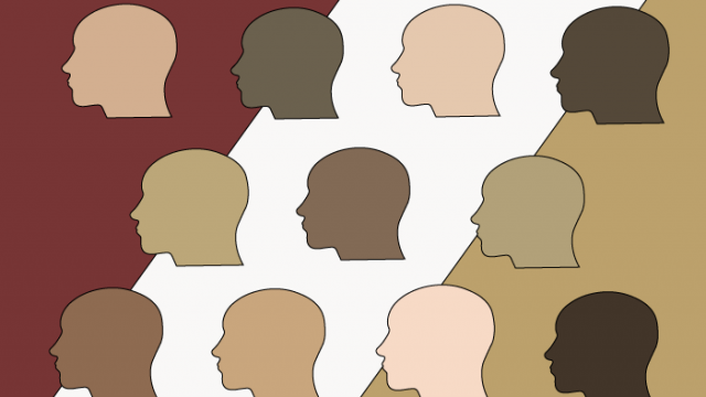 A New Definition of Diversity