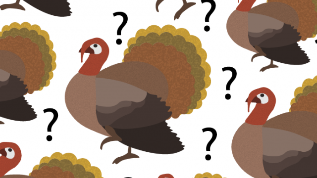 Turkeys and Champions: TU/TD
