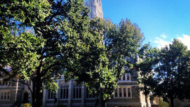 gasson
