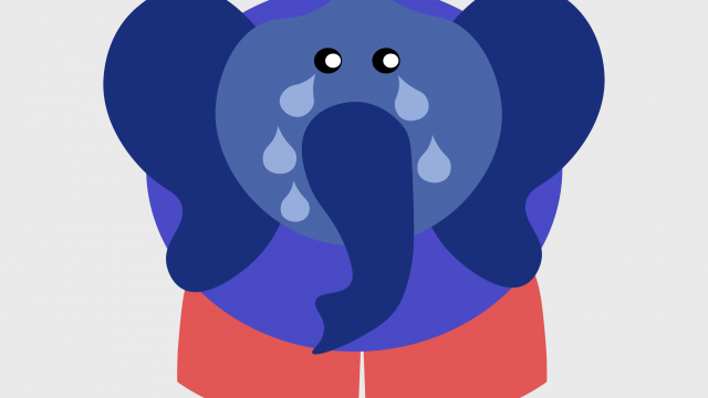 Sad Elephants and Existential Questions: TU/TD