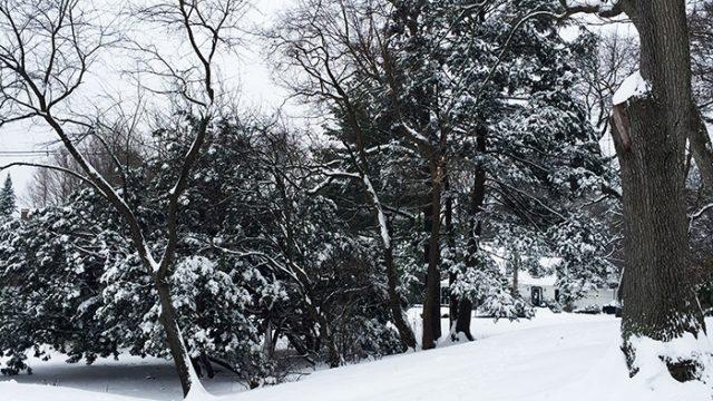 winter