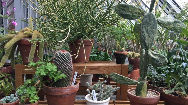 On Thursday, Get 'All the Feels' at the Gardner Museum