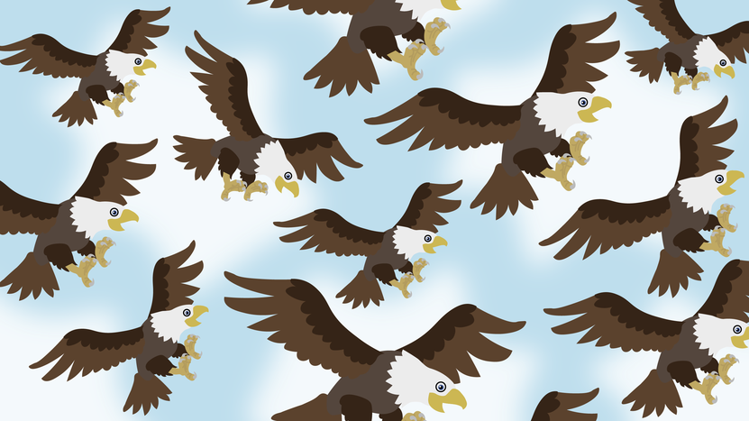 When Eagles Come Together: TU/TD