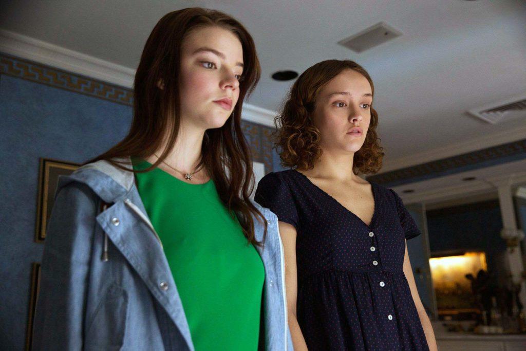 Thoroughbreds