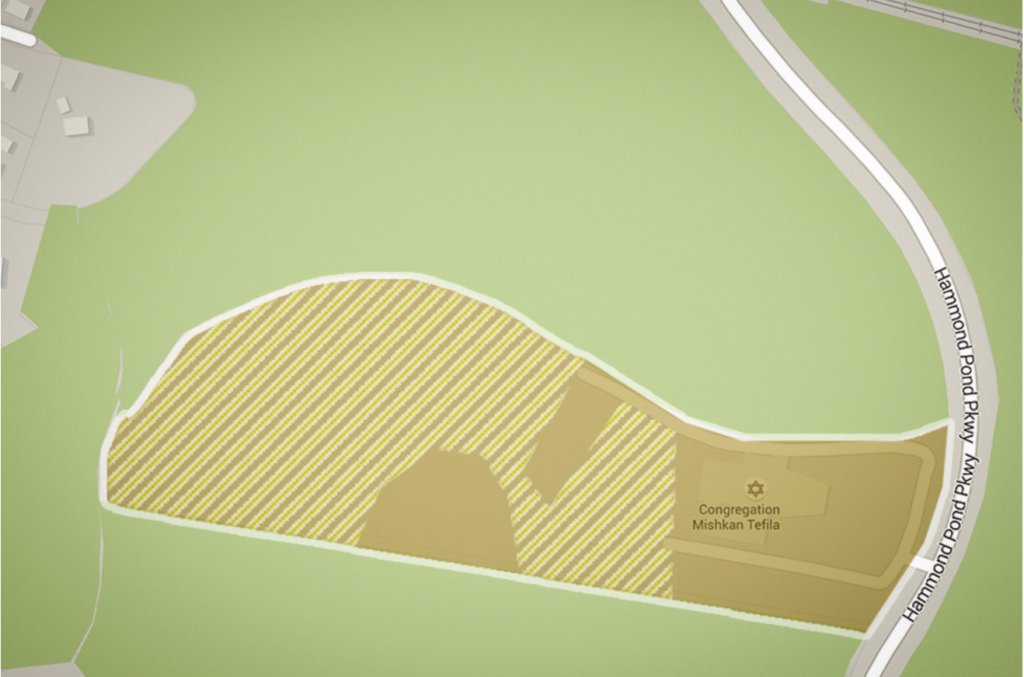 Newton Residents Work to Preserve Webster Woods