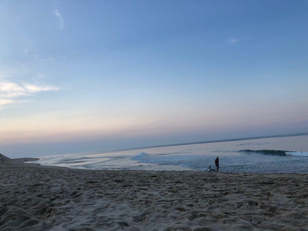 CSON Graduates Play Role in Saving Shark Attack Victim