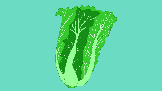 Grass, Lettuce, and UIS: TU/TD