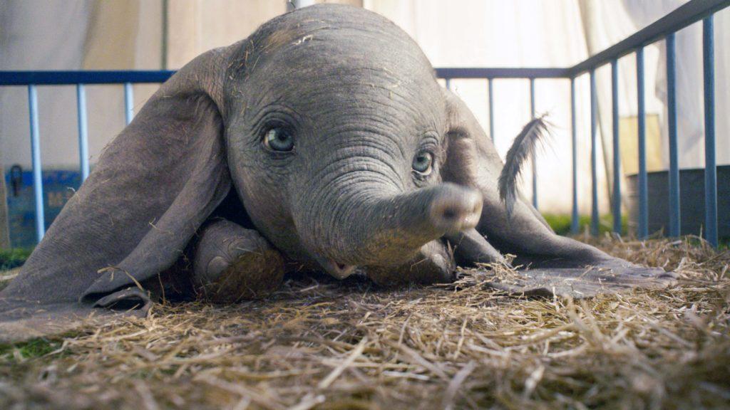 Dumbo