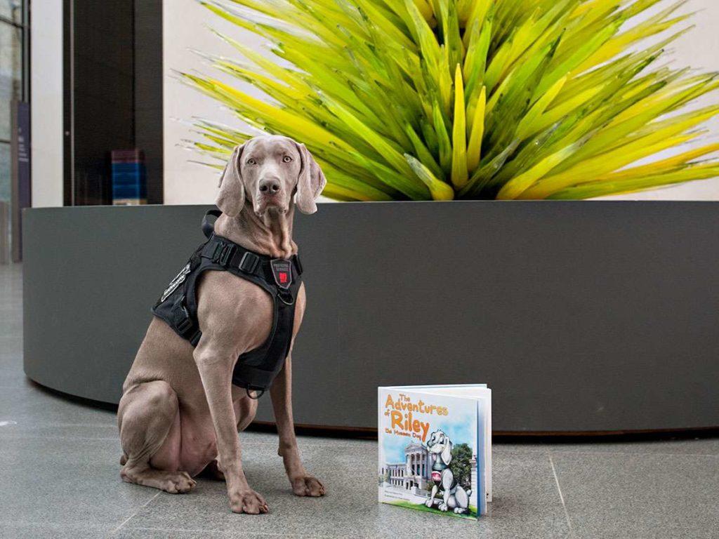 Riley, the MFA's Favorite Security Guard, is the Star of a New Book