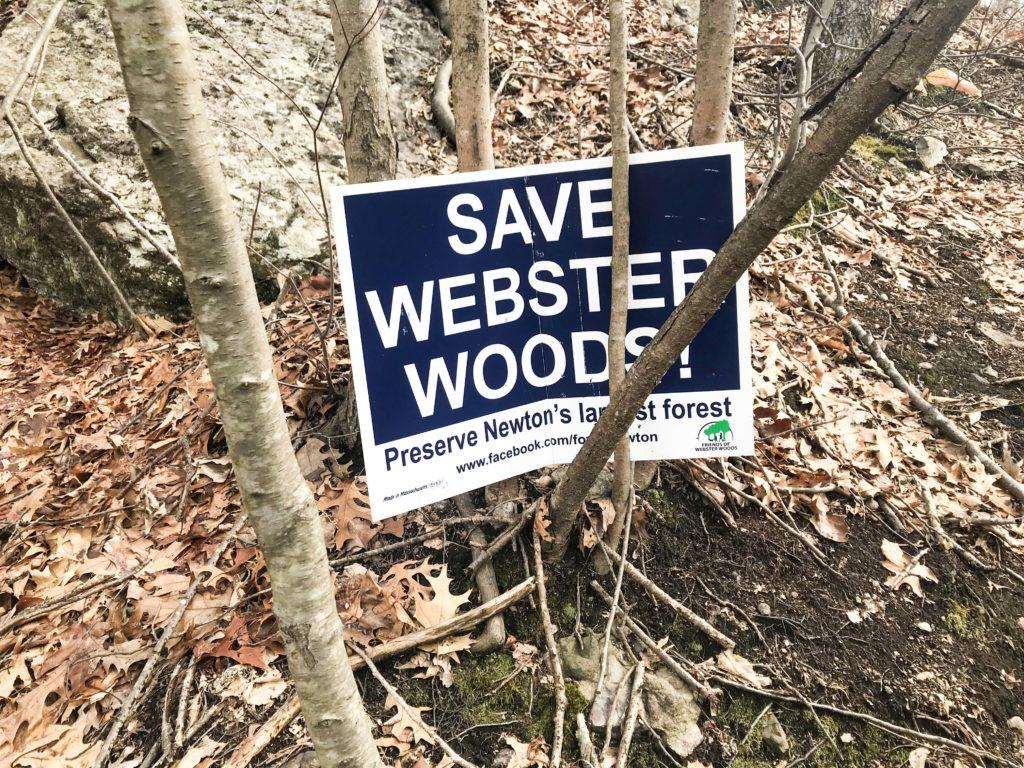 Boston College Files Lawsuit Against Newton to Challenge Compensation Received For Webster Woods