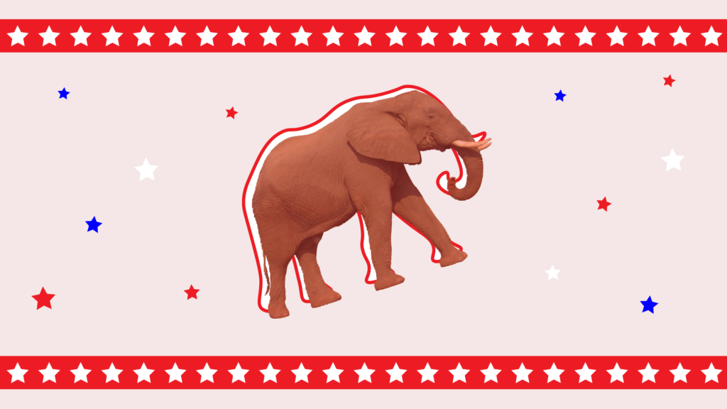 Dem. Senate Primary Shows Only Elite Can Win