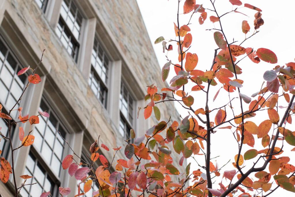 Honor System Raises Questions About Academic Integrity