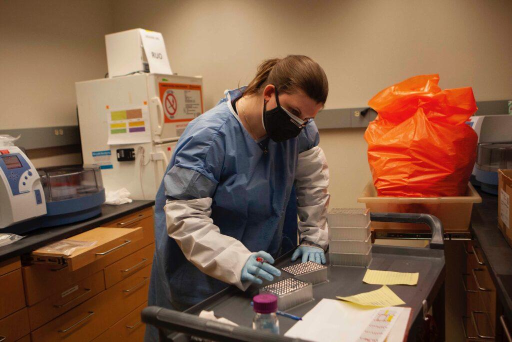 The Boston College Microbiological Laboratory (BCML) processes the BC community’s COVID-19 tests. First certified in September, the lab now has the capacity to process 1,000 to 1,500 test samples daily, according to Welkin Johnson, chair of the biology department and head of the Johnson Lab.