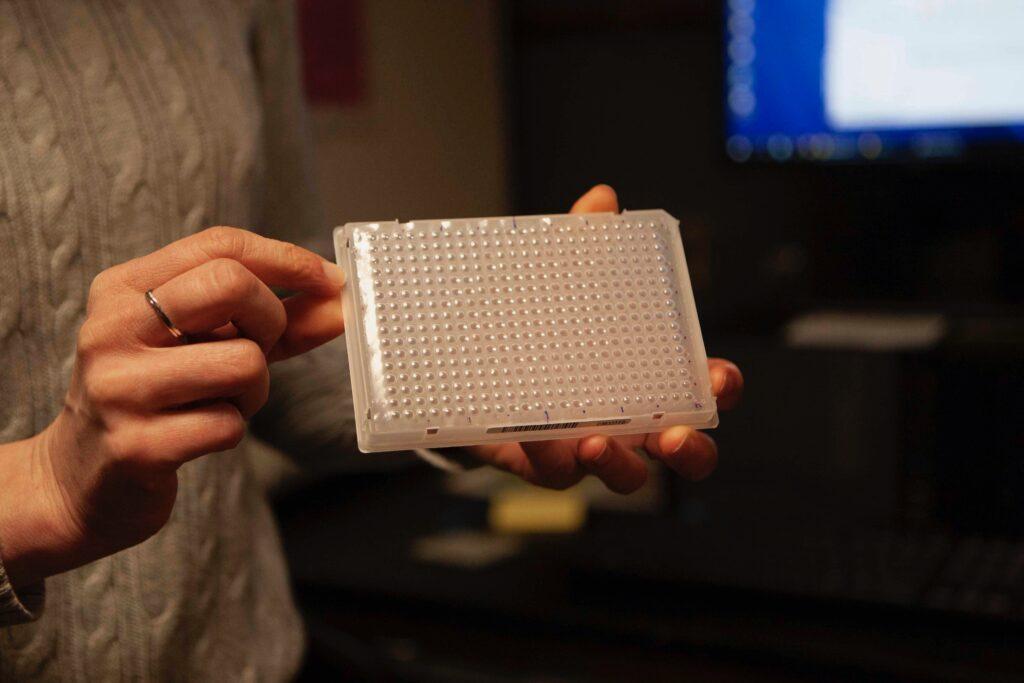The Boston College Microbiological Laboratory (BCML) processes the BC community’s COVID-19 tests. First certified in September, the lab now has the capacity to process 1,000 to 1,500 test samples daily, according to Welkin Johnson, chair of the biology department and head of the Johnson Lab.