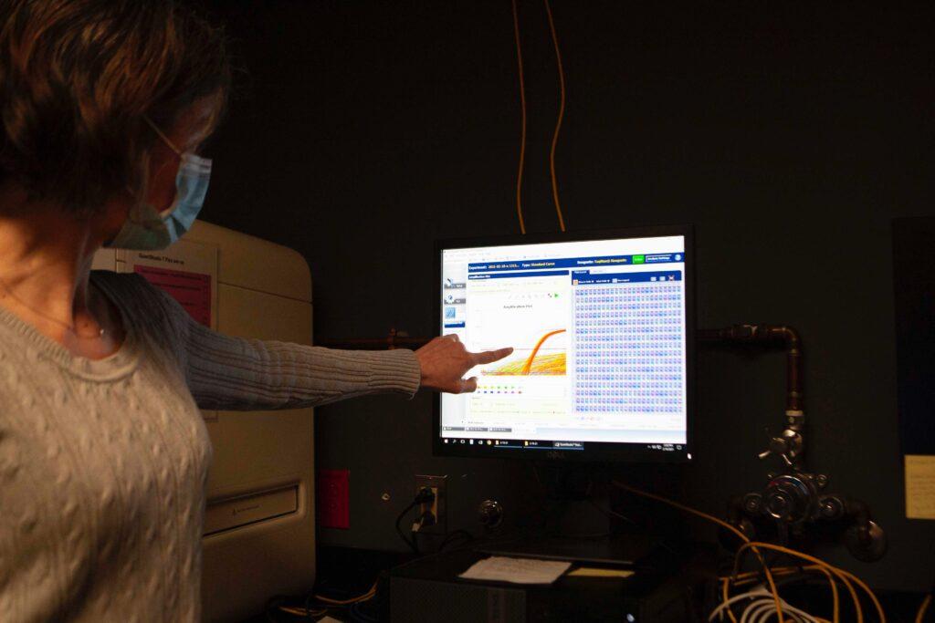 The Boston College Microbiological Laboratory (BCML) processes the BC community’s COVID-19 tests. First certified in September, the lab now has the capacity to process 1,000 to 1,500 test samples daily, according to Welkin Johnson, chair of the biology department and head of the Johnson Lab.