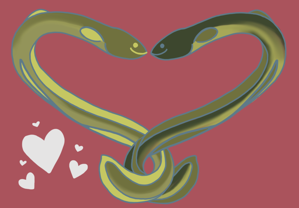 Eel Sex And Other Unanswered Questions