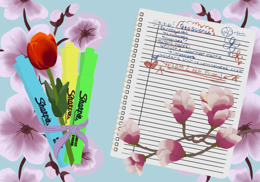 Springtime Studies: The Best Places to Go to Get Your Work Done