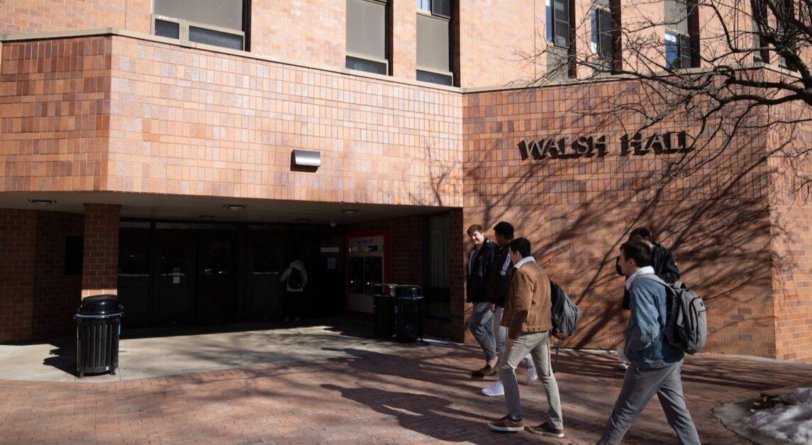 Bat Found in Walsh Hall, Released by BC Facilities Management