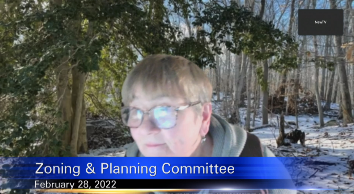 Newton city council committee debates building height