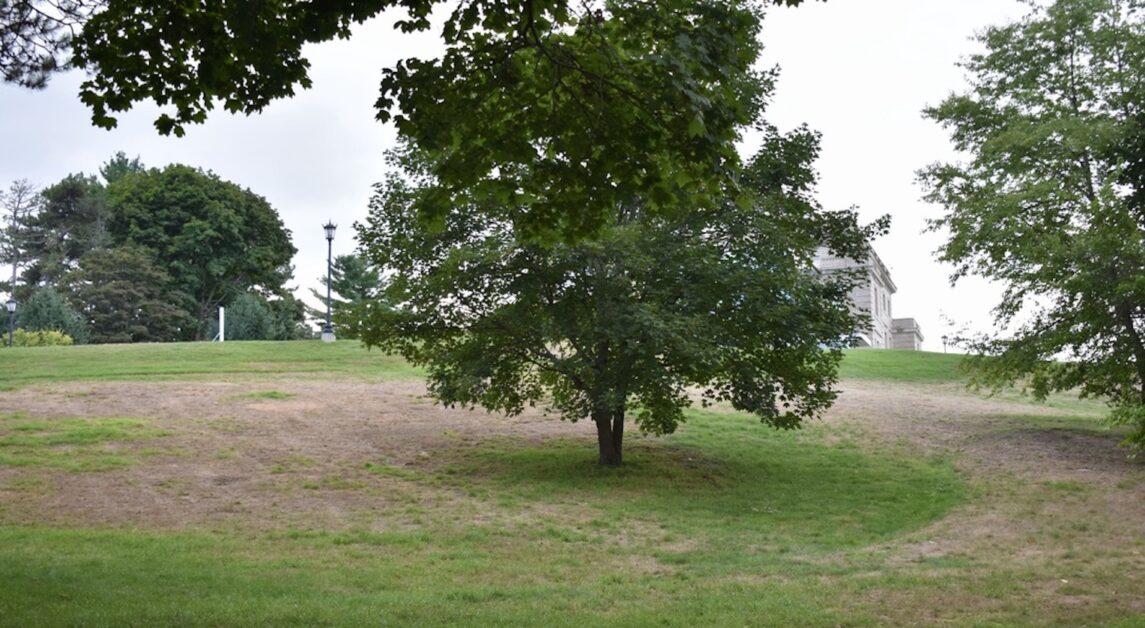 Rainfall levels are roughly 9 inches less than what is expected in a normal year (Molly Bruns / Heights Editor).