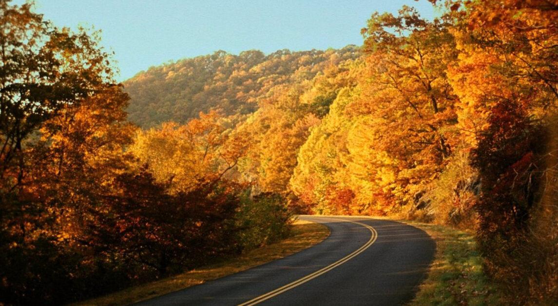Fall Colors on the Blue Ridge Parkway can be impressive, but so is the multitude of leaf-peepers that will gather there (Featured Image Courtesy of Wikimedia Commons).
