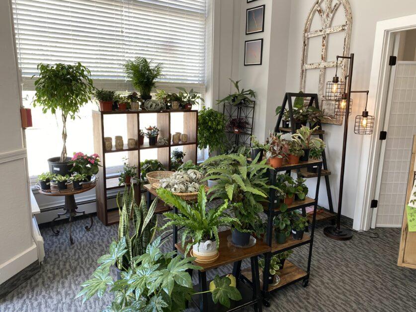 The store features an array of local plants and plant-related products while providing a welcoming atmosphere for the queer community. (Henry Blanchette / Heights Staff)